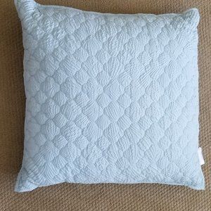 DKNY Home Light Teal Decorative Pillows